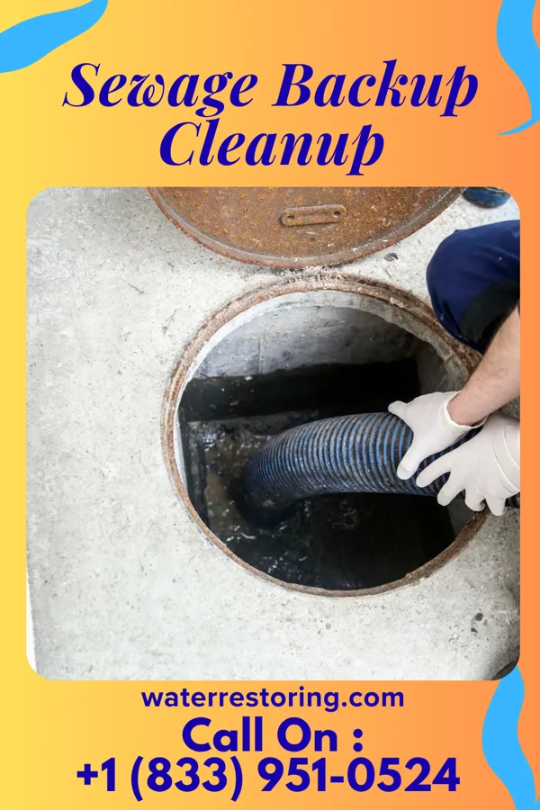 Sewage Backup Cleanup in Milesburg, PA