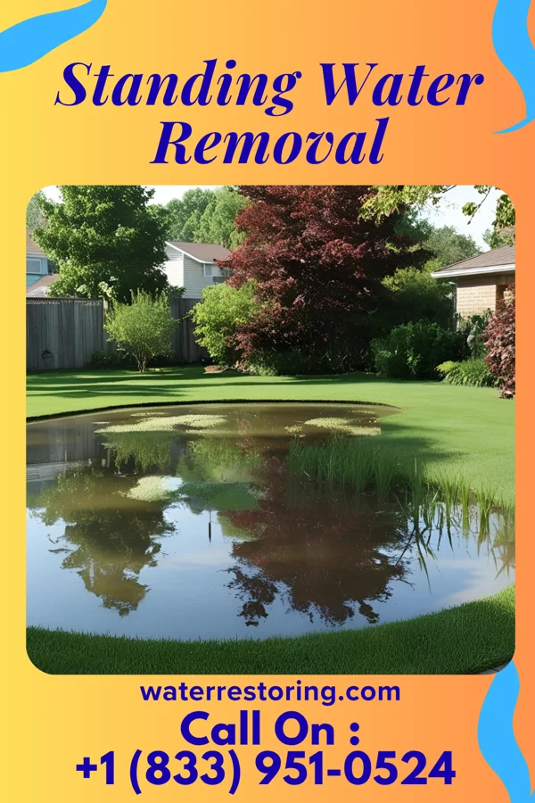 Standing Water Removal in Milesburg, PA